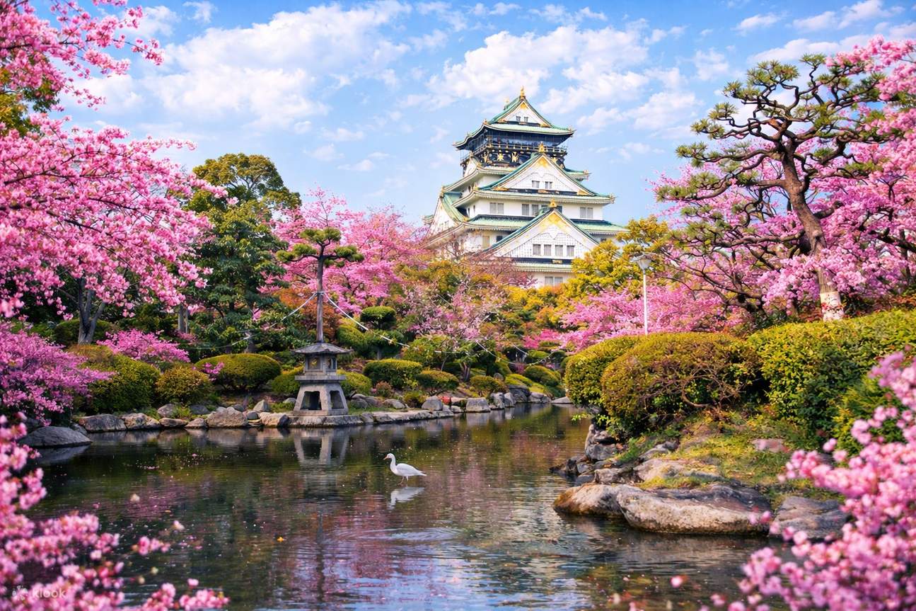 OsakaAquaBusCherryBlossomOsakaCastleParkKatsuo-ji