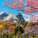 Sakuraco_osaka6-1